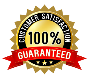 customer Satisfiction